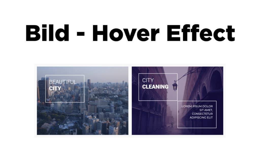 Bild-Hover-Effect