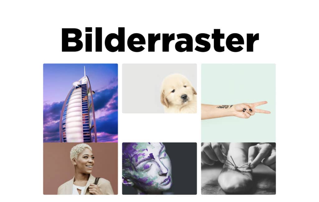 Bildraster